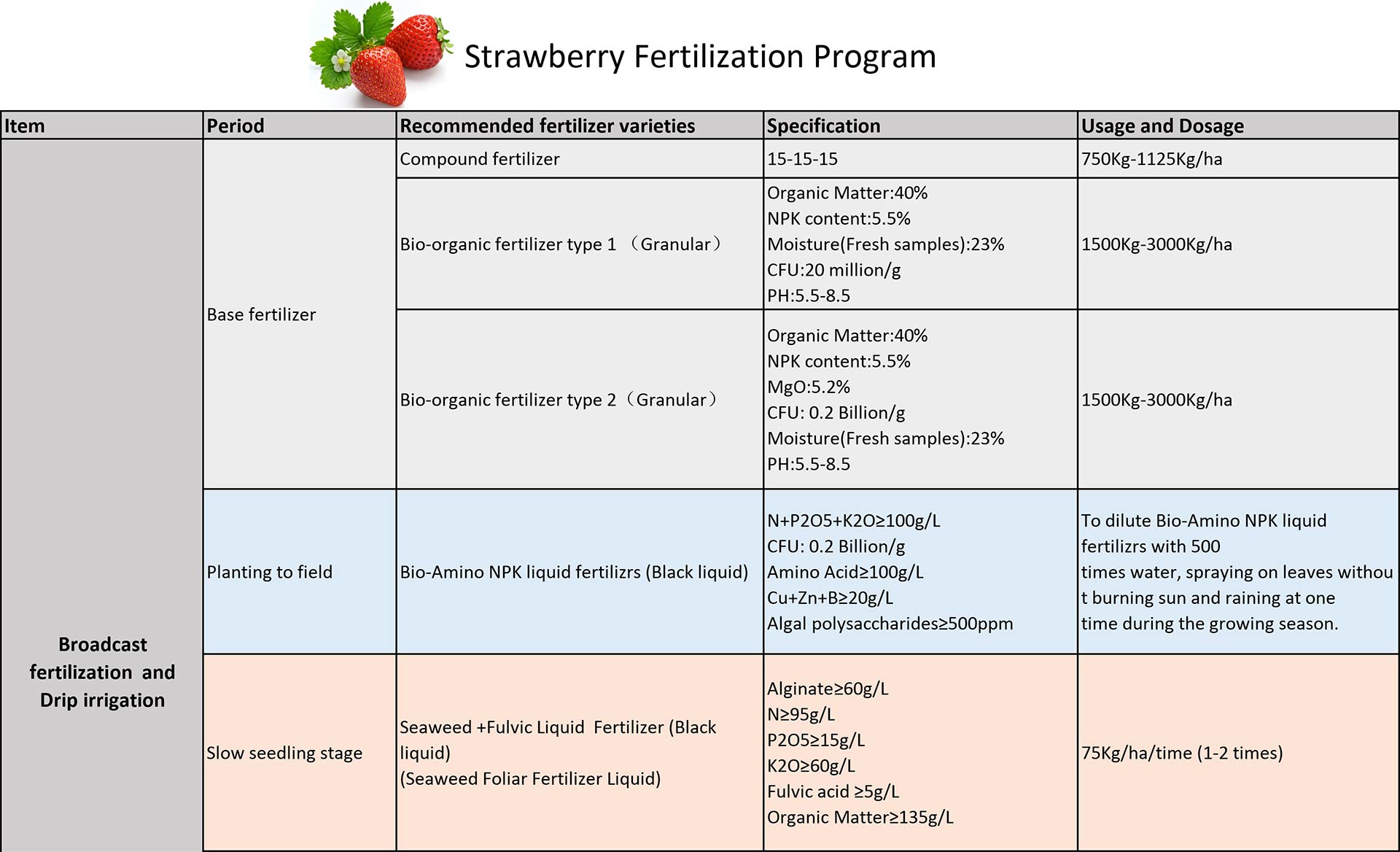 Strawberry-fertilization-program-5